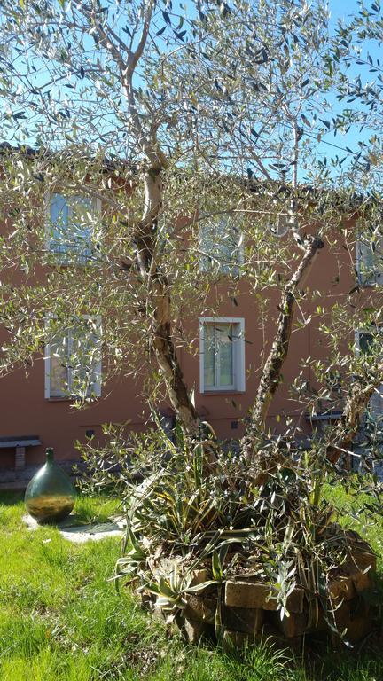 Ulivo Della Querce Βίλα Querce  Εξωτερικό φωτογραφία