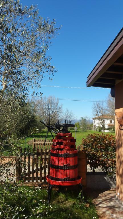 Ulivo Della Querce Βίλα Querce  Εξωτερικό φωτογραφία