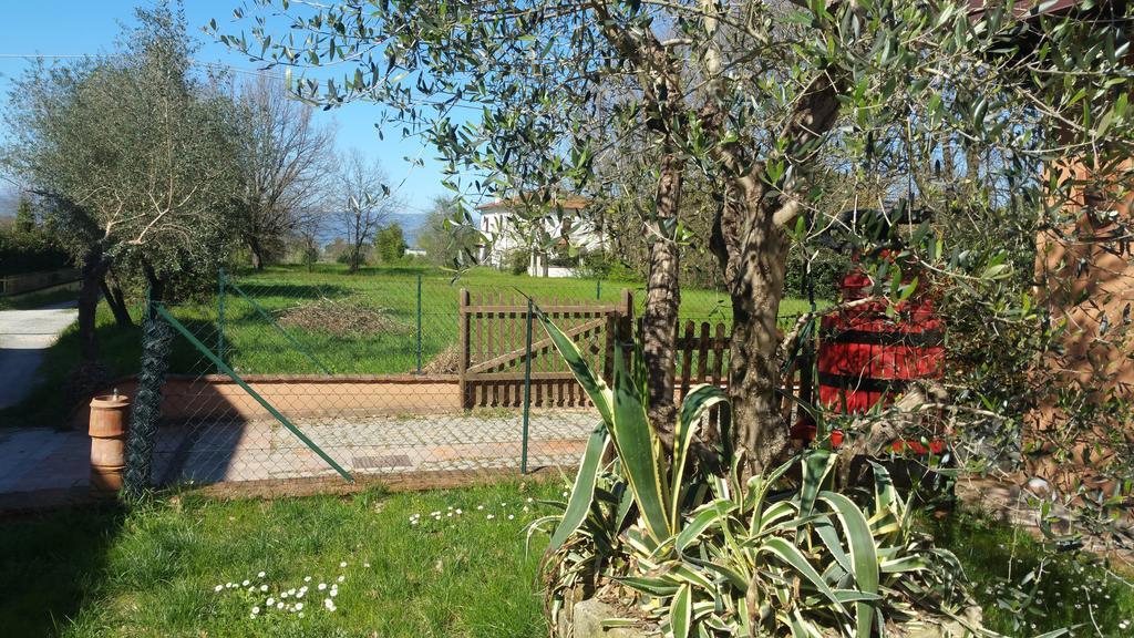 Ulivo Della Querce Βίλα Querce  Εξωτερικό φωτογραφία